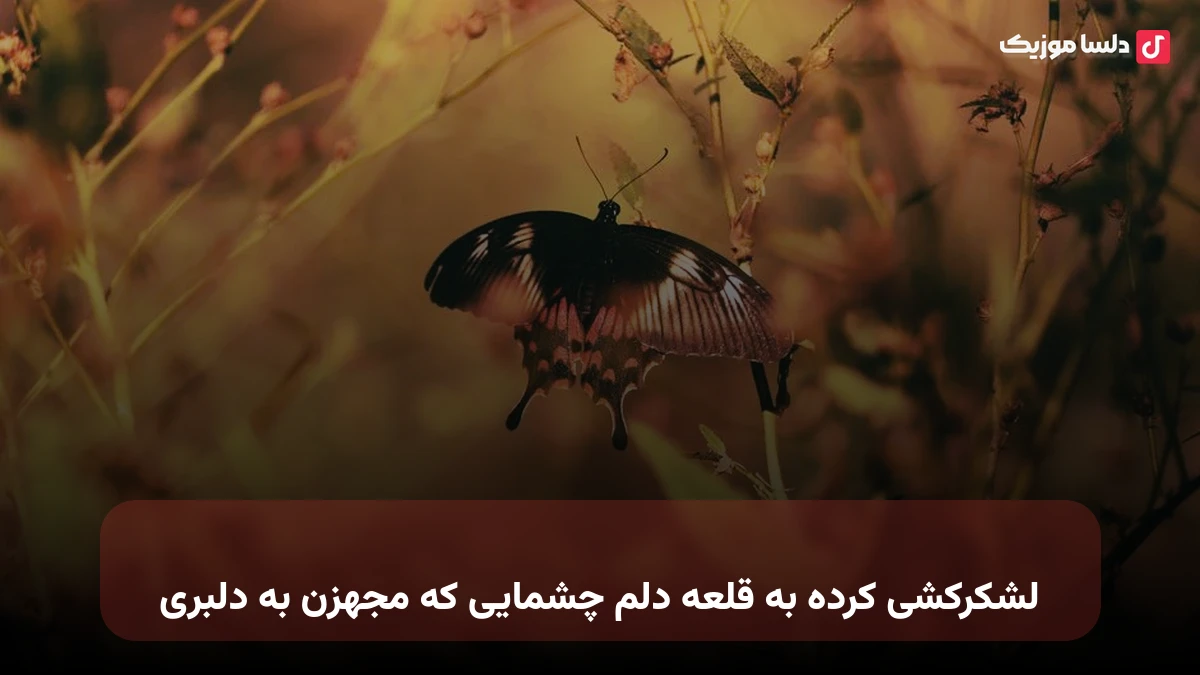 لشکرکشی کرده به قلعه دلم چشمایی که مجهزن به دلبری
